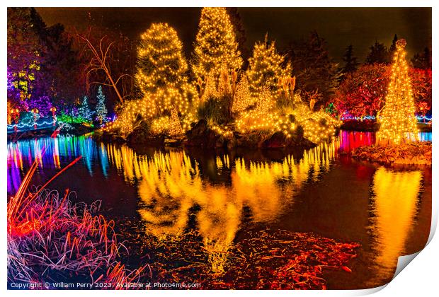 Christmas Lights Reflection Van Dusen Garden Vancouver British C Print by William Perry