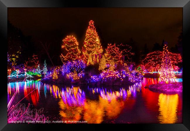 Christmas Lights Reflection Van Dusen Garden Vancouver British C Framed Print by William Perry