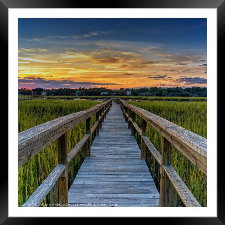 Dockside Dreams II Framed Mounted Print by DiFigiano Photography
