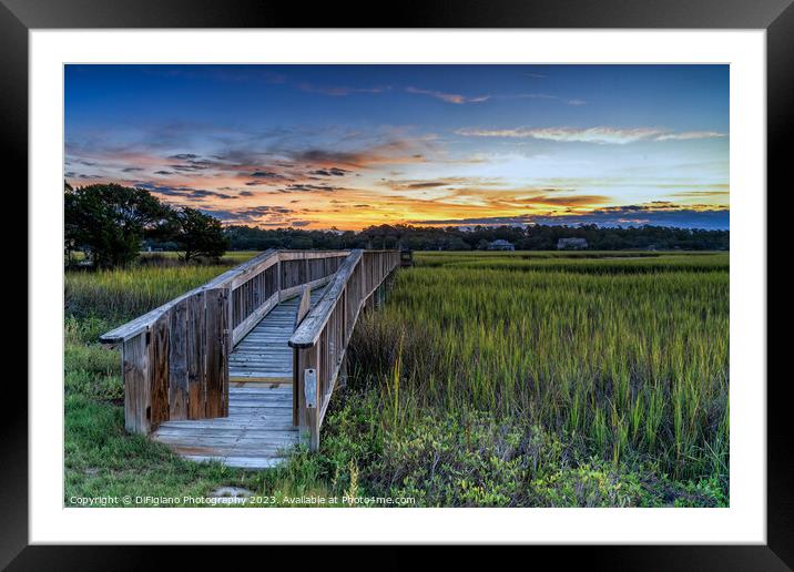 Dockside Dreams Framed Mounted Print by DiFigiano Photography