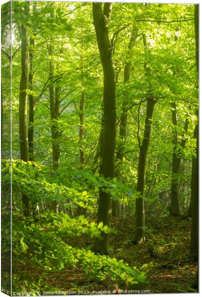 Plant tree Canvas Print by Simon Johnson