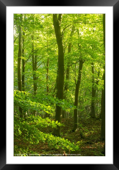 Plant tree Framed Mounted Print by Simon Johnson