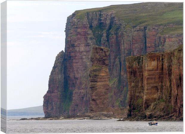 Old Man of Hoy, Orkney & fishing boat Canvas Print by Phil Banks