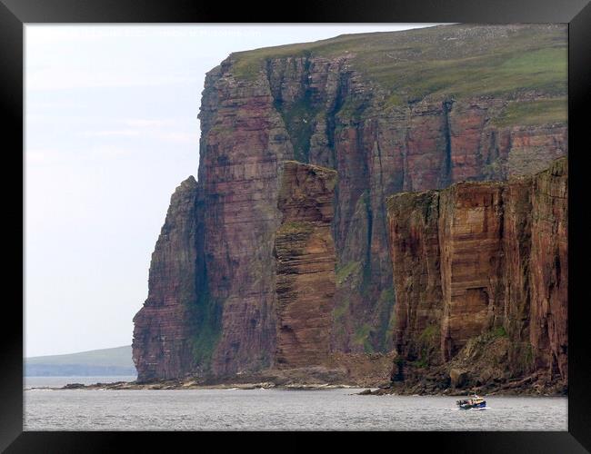 Old Man of Hoy, Orkney & fishing boat Framed Print by Phil Banks