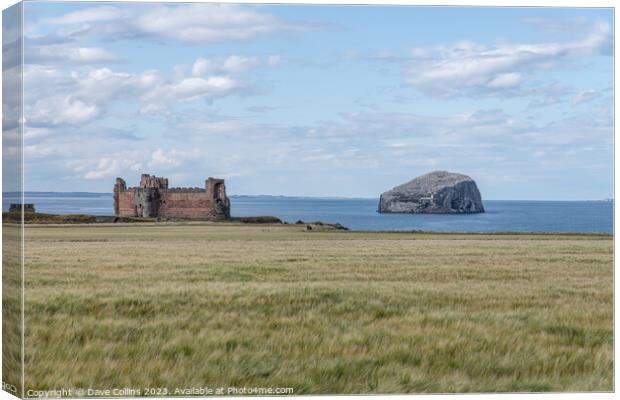 The remains of Tantallon Castle with Bass Rock in the Firth of Forth behind, North Berwick, East Lothian, Scotland Canvas Print by Dave Collins