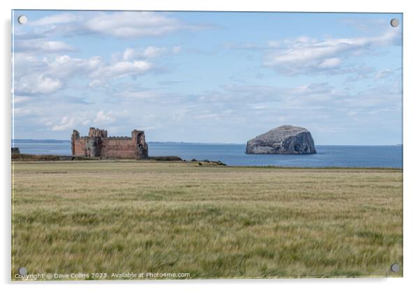The remains of Tantallon Castle with Bass Rock in the Firth of Forth behind, North Berwick, East Lothian, Scotland Acrylic by Dave Collins