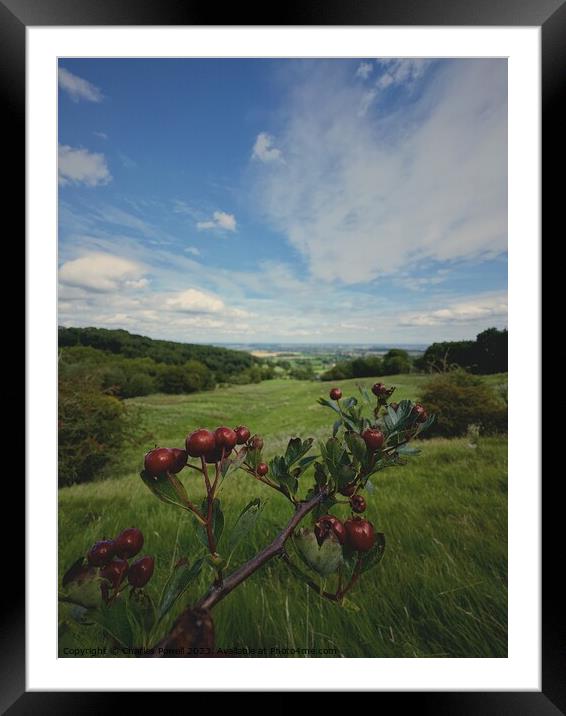Berries and hills Framed Mounted Print by Charles Powell