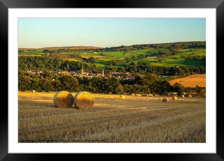 Field of bales near Darvel, Ayrshire, Scotland. Framed Mounted Print by Hugh Maxwell