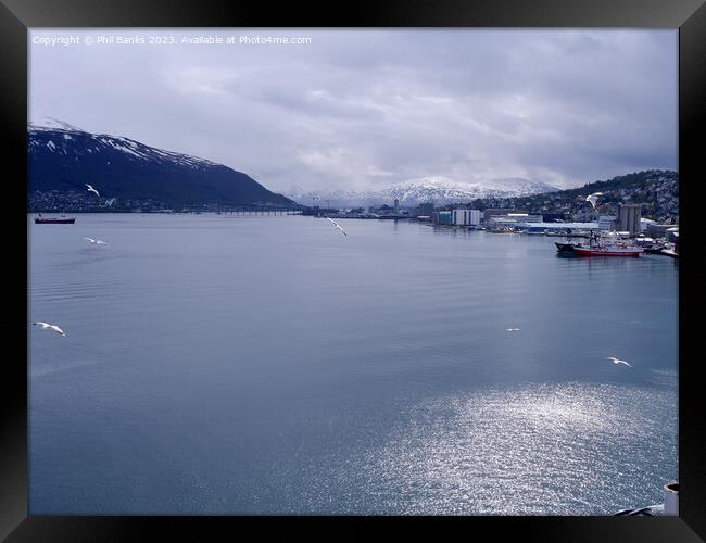 Tromso, Norway - A flash of sunlight Framed Print by Phil Banks