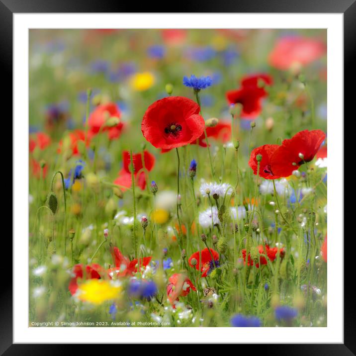 poppy with soft focus Framed Mounted Print by Simon Johnson