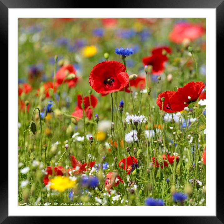 Poppy and meadow flowers Framed Mounted Print by Simon Johnson