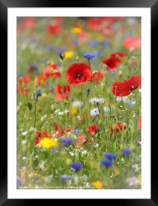  poppy and meadow flowers Framed Mounted Print by Simon Johnson