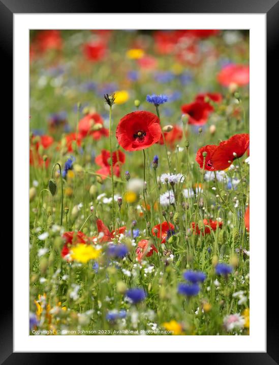  poppy and meadow flowers Framed Mounted Print by Simon Johnson
