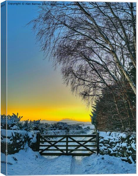 Gate in Winter at Sunset  Canvas Print by Alan Barnes