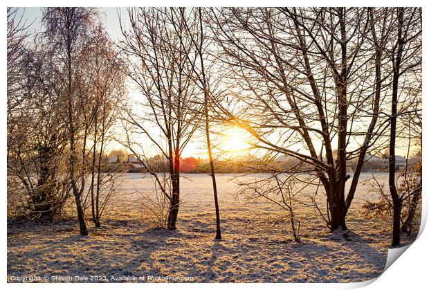 Sunrise silhoutte of tress in winter Print by Steven Dale