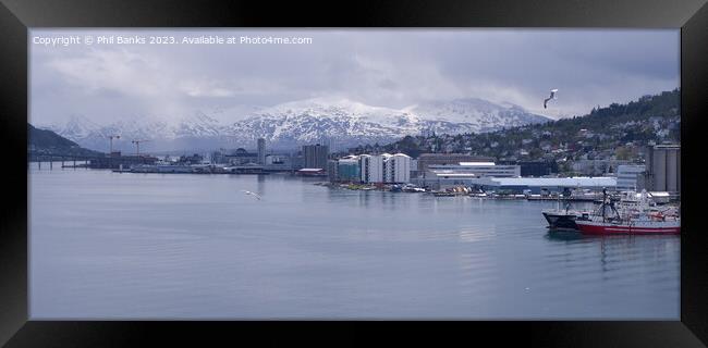 Tromso in Northern Norway on a bright day in early June Framed Print by Phil Banks