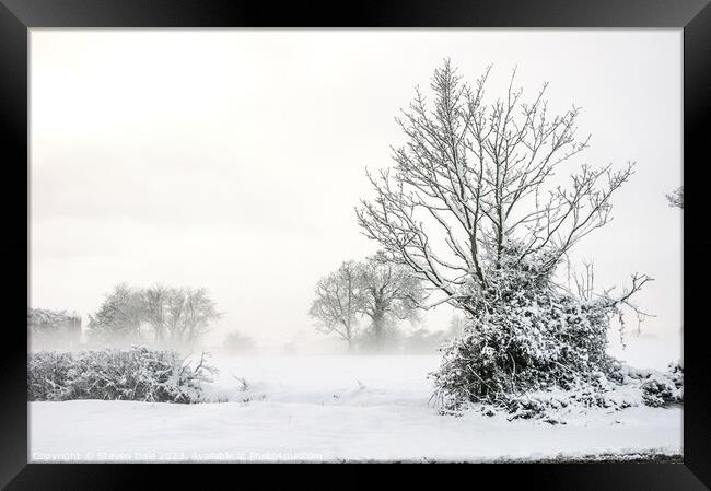 Winter Norfolk Landscape Framed Print by Steven Dale