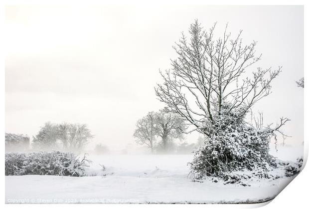 Winter Norfolk Landscape Print by Steven Dale