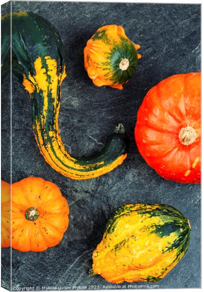 Autumn still life with pumpkins Canvas Print by Mykola Lunov Mykola