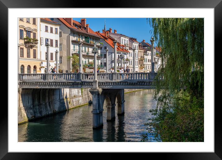 The Cobblers Bridge In Ljubljana Framed Mounted Print by Artur Bogacki