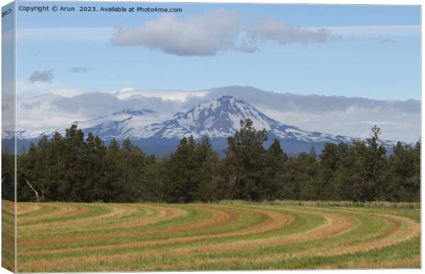 Deschutes Wilderness, Canvas Print by Arun 