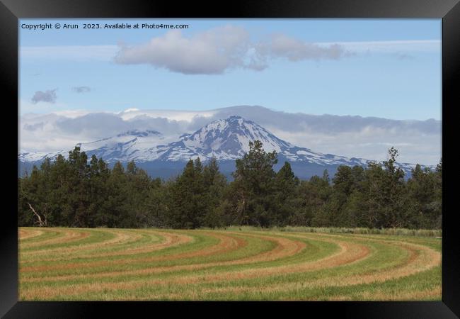 Deschutes Wilderness, Framed Print by Arun 