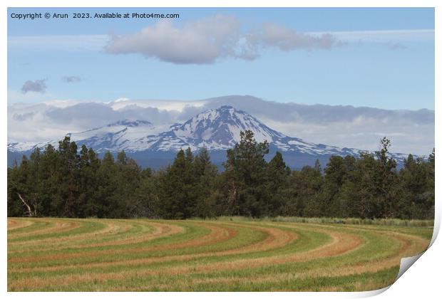 Deschutes Wilderness, Print by Arun 