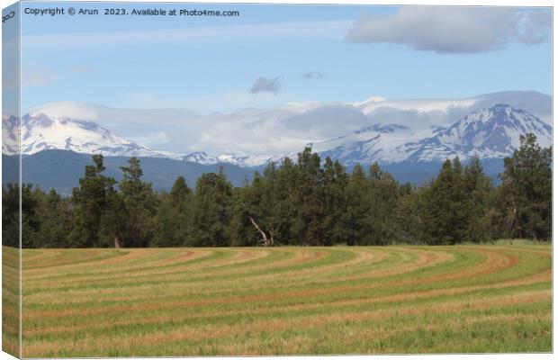 Deschutes Wilderness, Canvas Print by Arun 