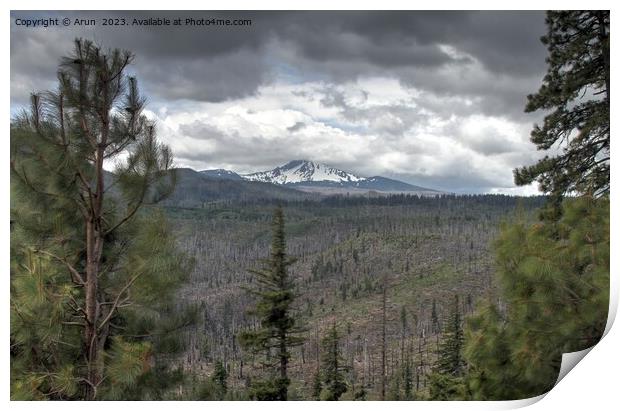 Deschutes Wilderness, Print by Arun 