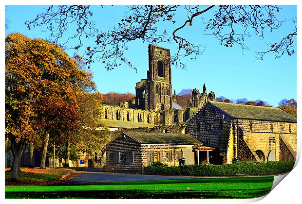 Kirkstall Abbey Print by Colin Metcalf
