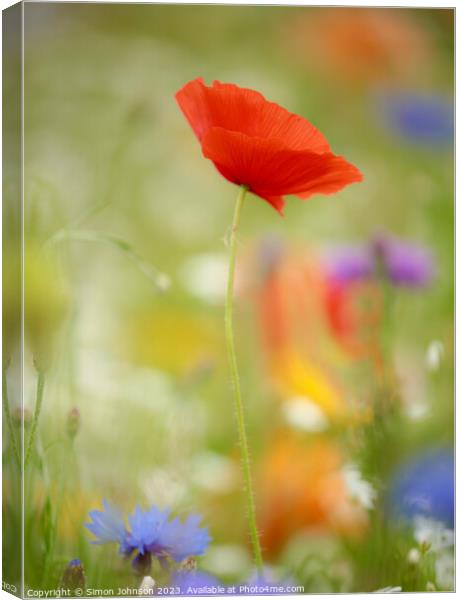 poppy flower with soft focus Canvas Print by Simon Johnson