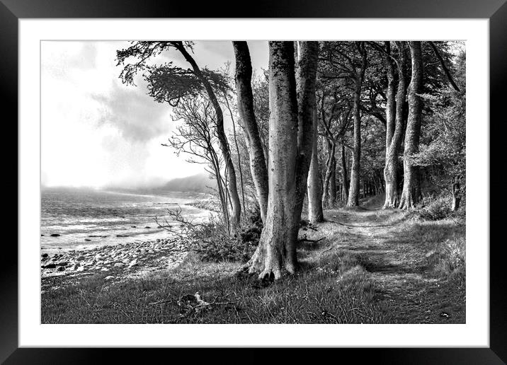Dunrobin Castle Woods, Scotland Framed Mounted Print by Ian Blezard