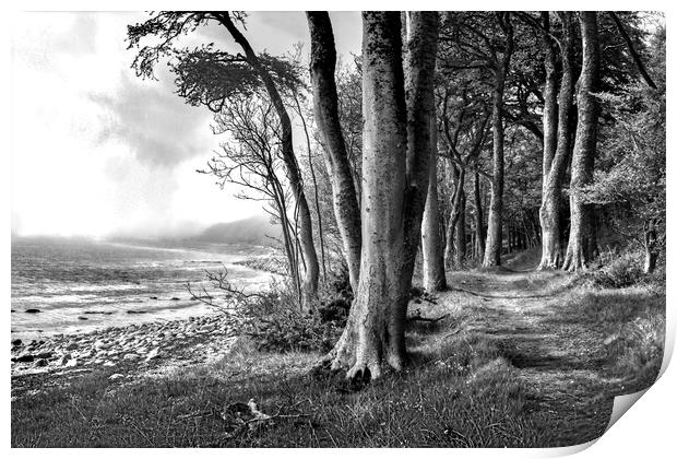 Dunrobin Castle Woods, Scotland Print by Ian Blezard