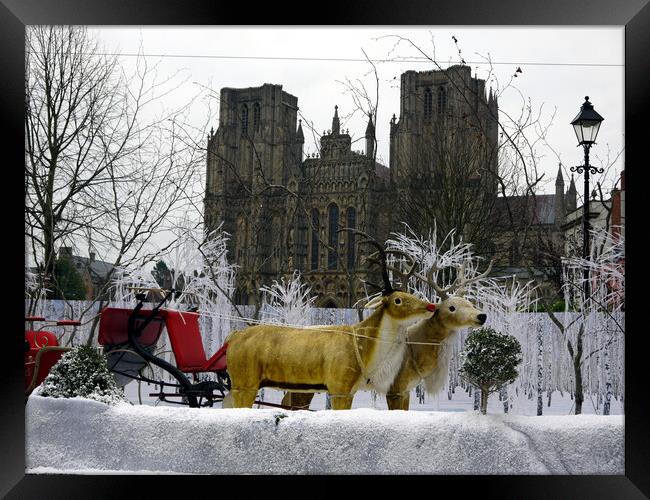 Christmas at Wells Cathedral Somerset England Framed Print by Steve Painter