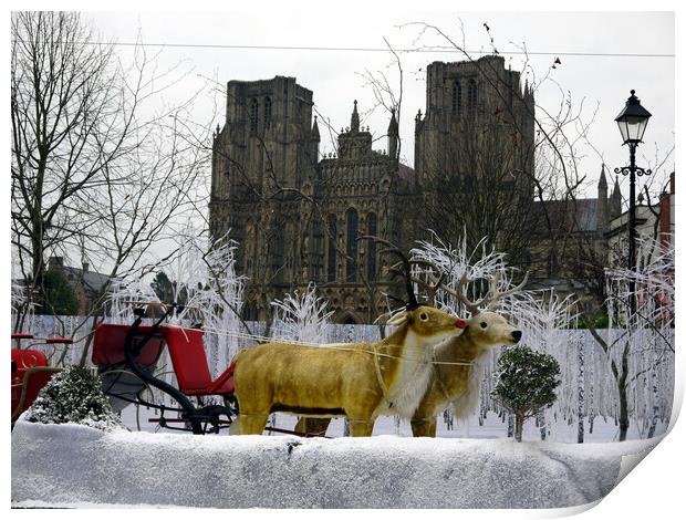 Christmas at Wells Cathedral Somerset England Print by Steve Painter