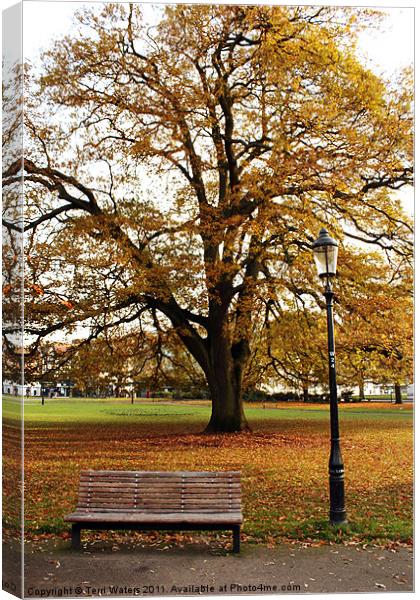 Park Life Canvas Print by Terri Waters