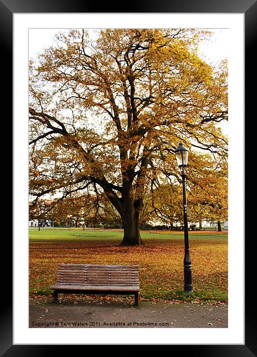 Park Life Framed Mounted Print by Terri Waters