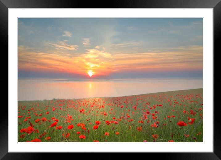 Yorkshire Coast Poppy Field Framed Mounted Print by Alison Chambers