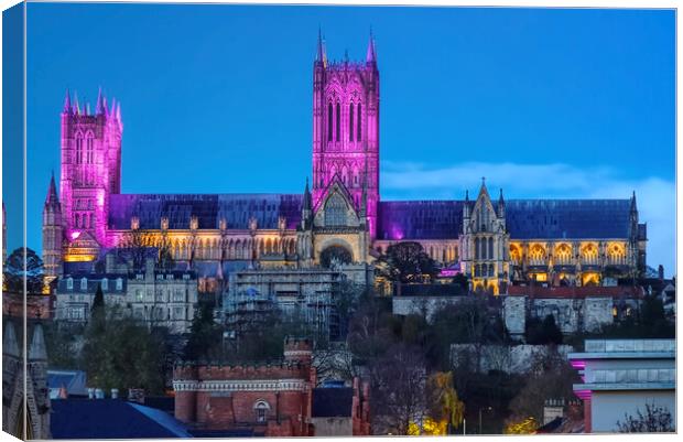 Lincoln Cathedral Canvas Print by Alison Chambers