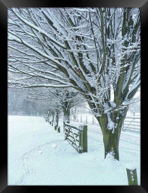Country Lane in Winter  Framed Print by Charlotte Radford