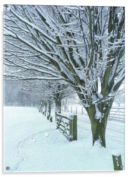 Country Lane in Winter  Acrylic by Charlotte Radford