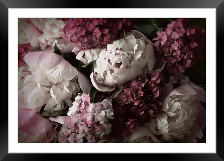 Beautiful summer flowers. Bouquet of pink peony and William back Framed Mounted Print by Virginija Vaidakaviciene