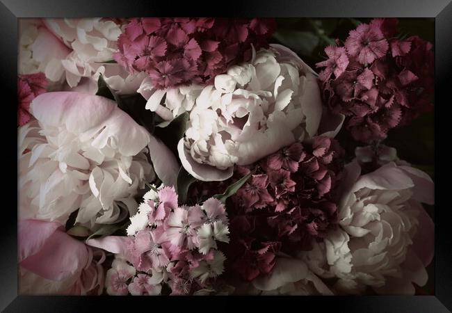 Beautiful summer flowers. Bouquet of pink peony and William back Framed Print by Virginija Vaidakaviciene