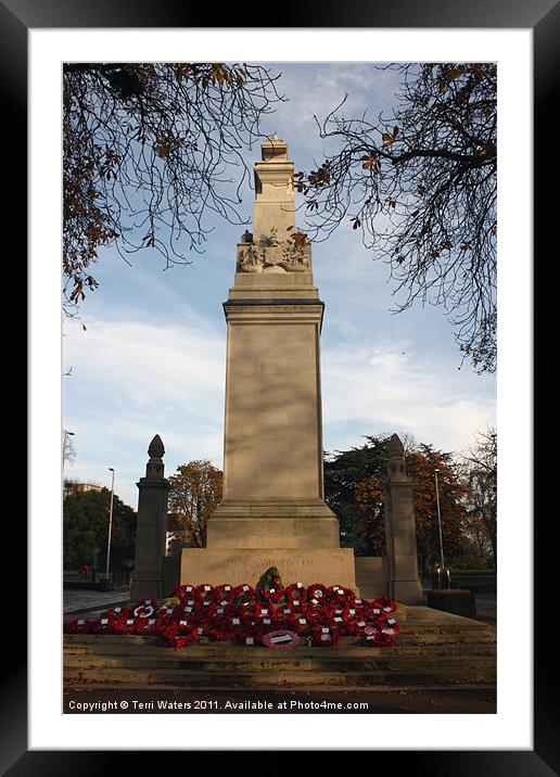 Southampton Cenotaph, Hampshire Framed Mounted Print by Terri Waters