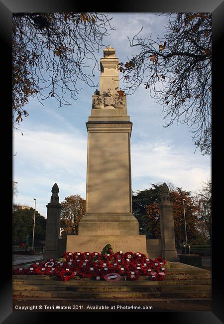 Southampton Cenotaph, Hampshire Framed Print by Terri Waters