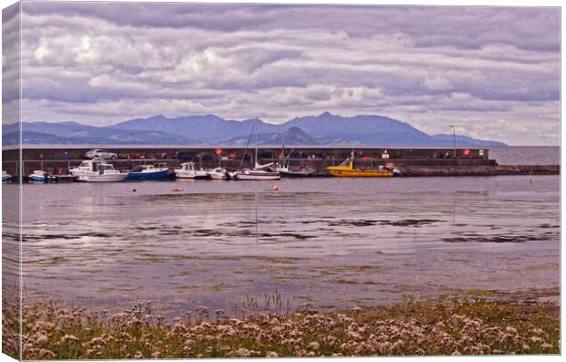 Maidens harbour an Isle of Arran Canvas Print by Allan Durward Photography