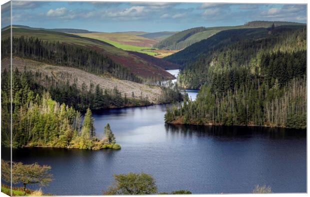 Beautiful Llyn Brianne in Mid Wales Canvas Print by Leighton Collins