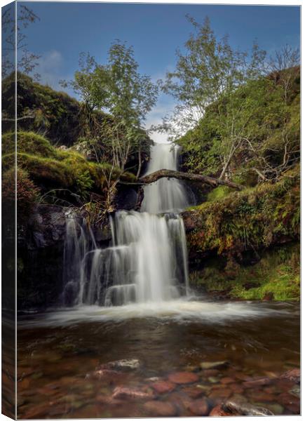 Waterfall in the Brecon Beacons Canvas Print by Leighton Collins