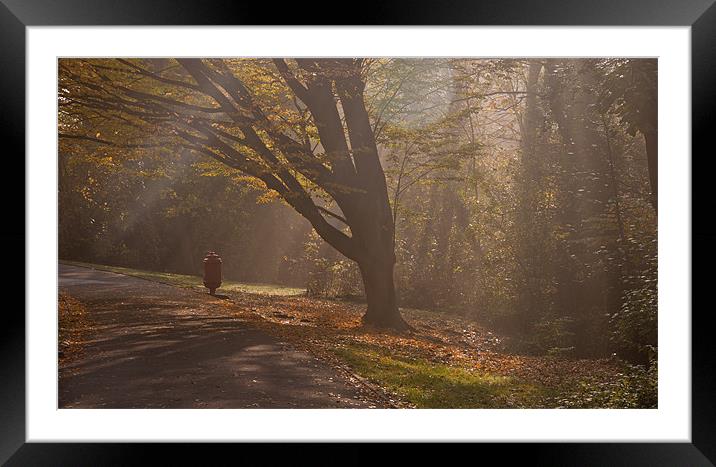 Winter Sunbeams Framed Mounted Print by Dawn O'Connor