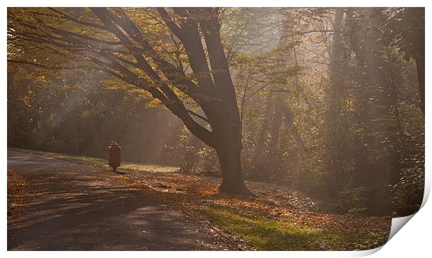 Winter Sunbeams Print by Dawn O'Connor